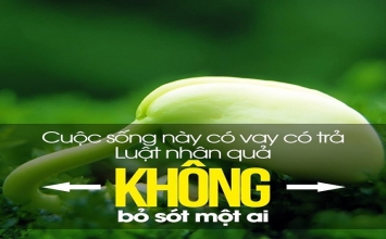 Nhân quả công minh và không bỏ sót bất cứ ai